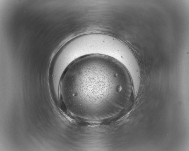 X0000068720244200605051440