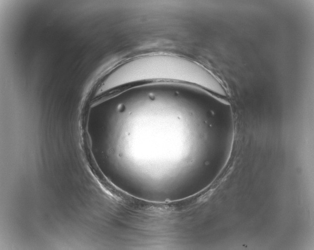 X0000068720245200605051440