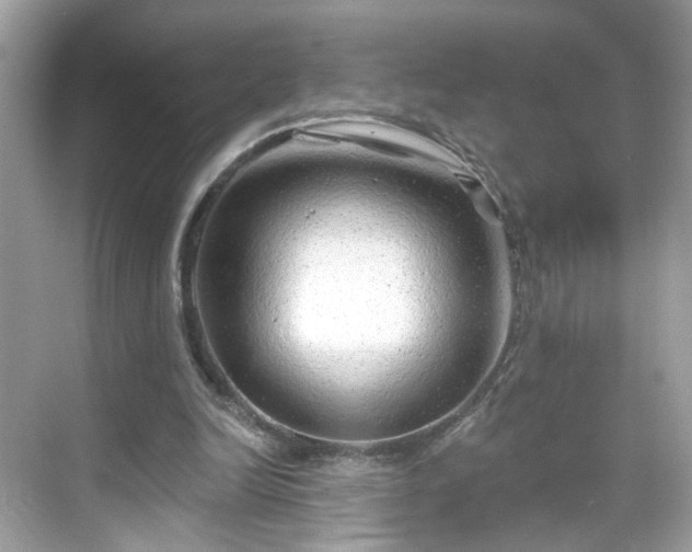 X0000068720246200605051440