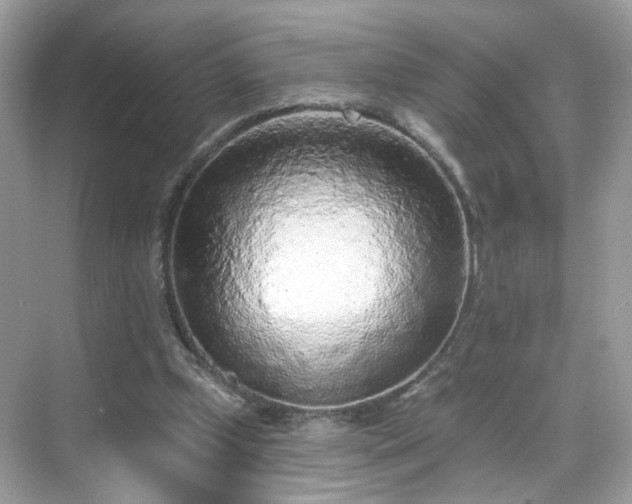 X0000068720249200605051440