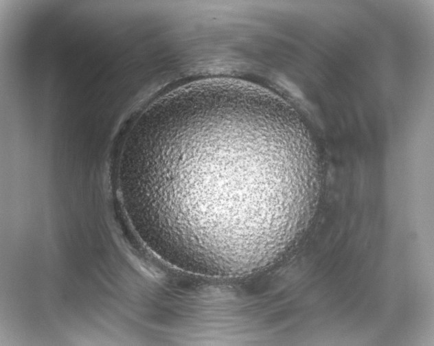 X0000068720250200605051440