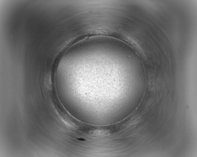 X0000068720251200605051440