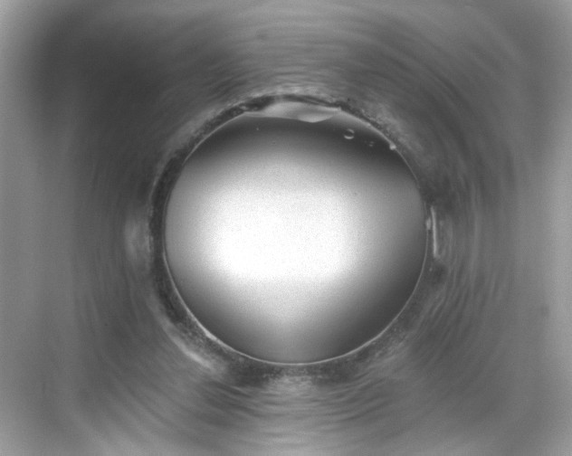 X0000068720252200605051440