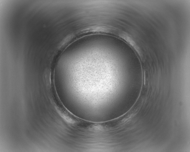 X0000068720253200605051440