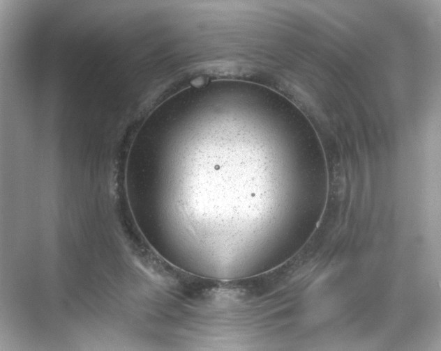 X0000068720255200605051440