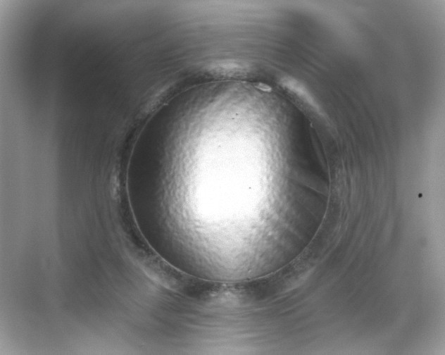 X0000068720259200605051440