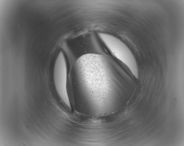 X0000068720260200605051441