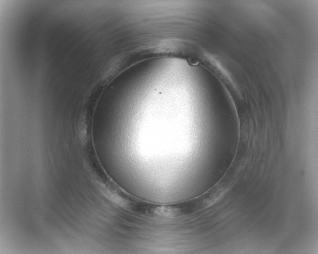 X0000068720261200605051441