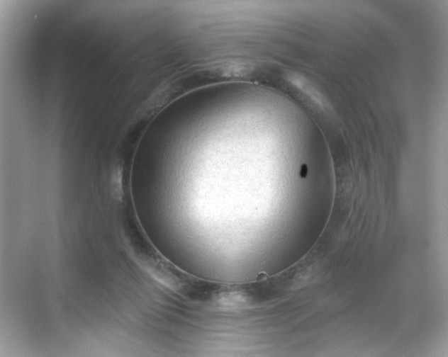 X0000068720262200605051441