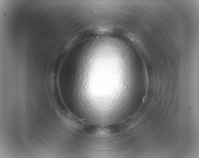 X0000068720263200605051441