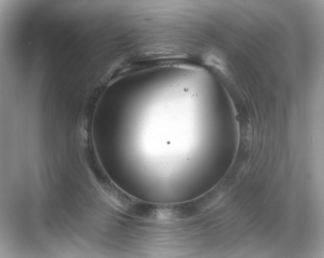 X0000068720264200605051441