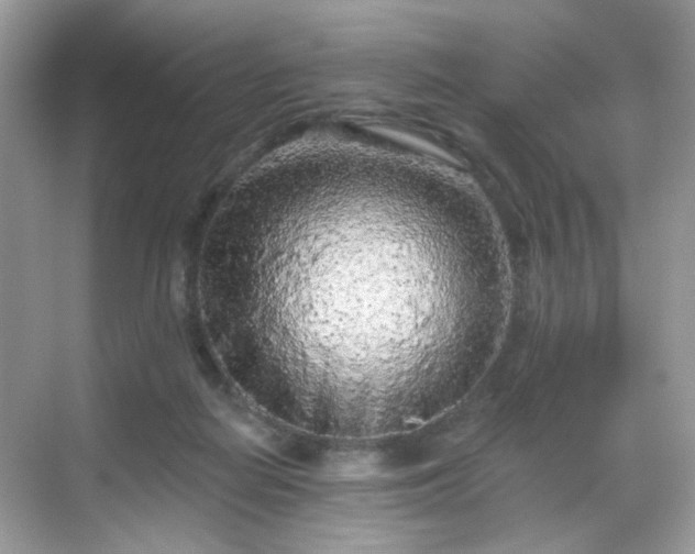 X0000068720266200605051441