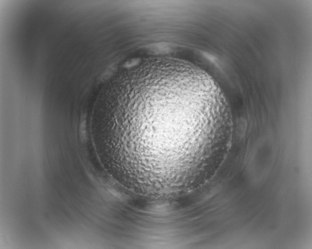 X0000068720267200605051441