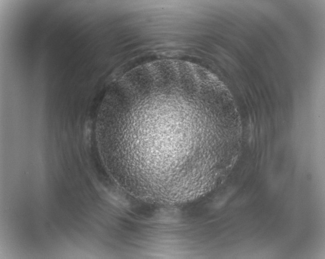 X0000068720271200605051441