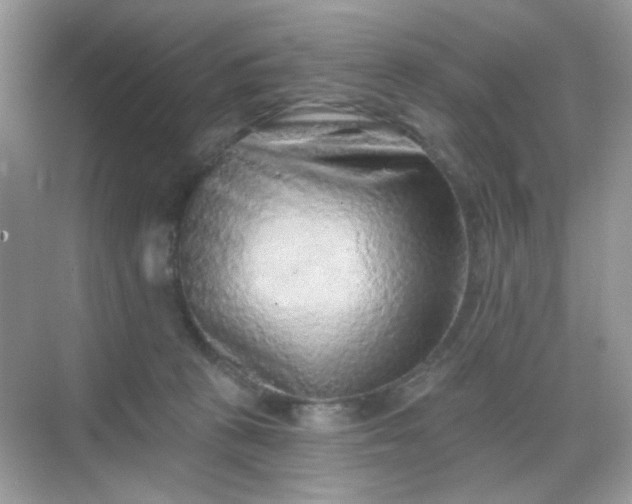 X0000068720273200605051441