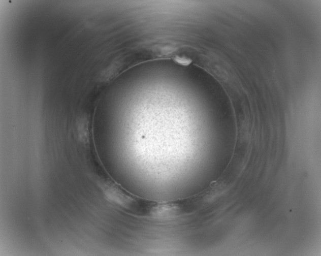 X0000068720274200605051441