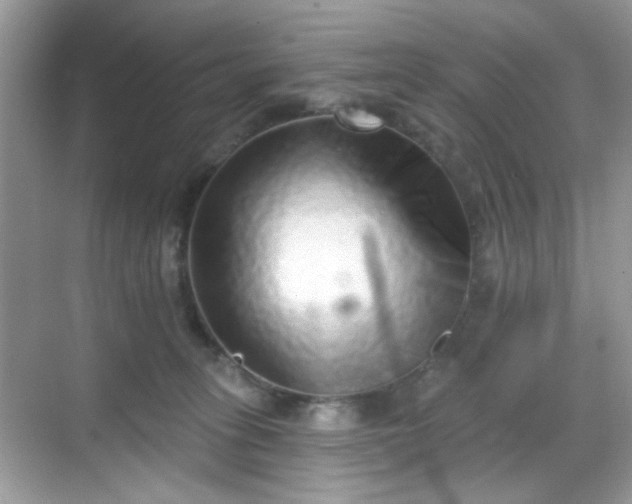 X0000068720275200605051441