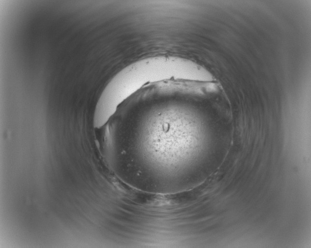 X0000068720276200605051441