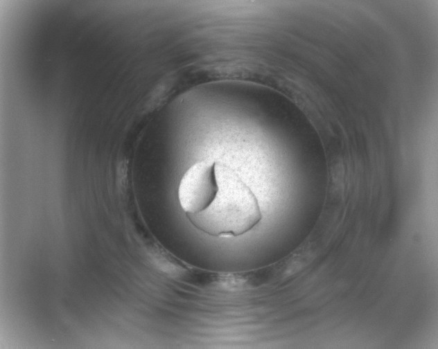 X0000068720278200605051441