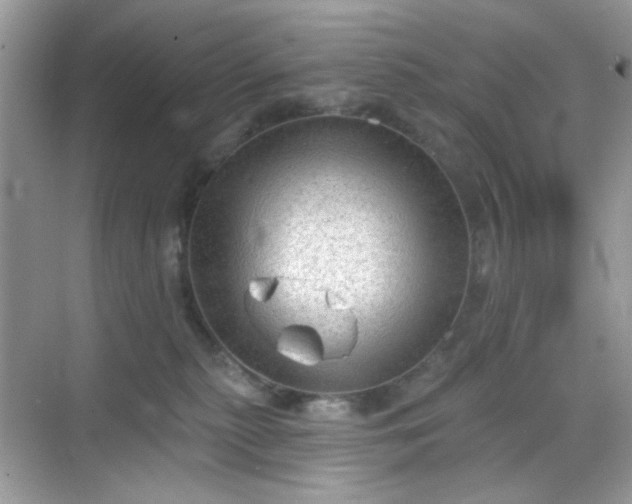 X0000068720279200605051441