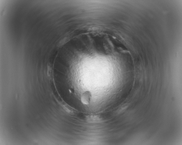 X0000068720281200605051441