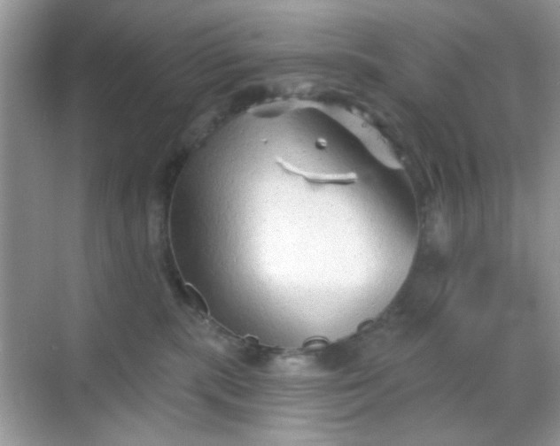 X0000068720283200605051441