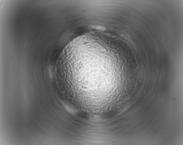 X0000068720285200605051441