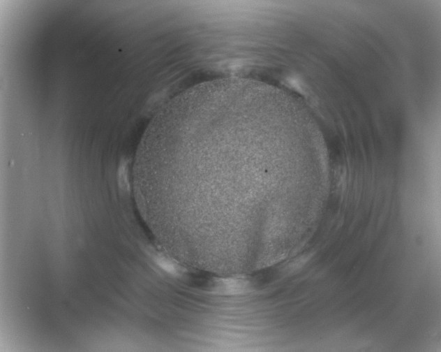 X0000068720286200605051441