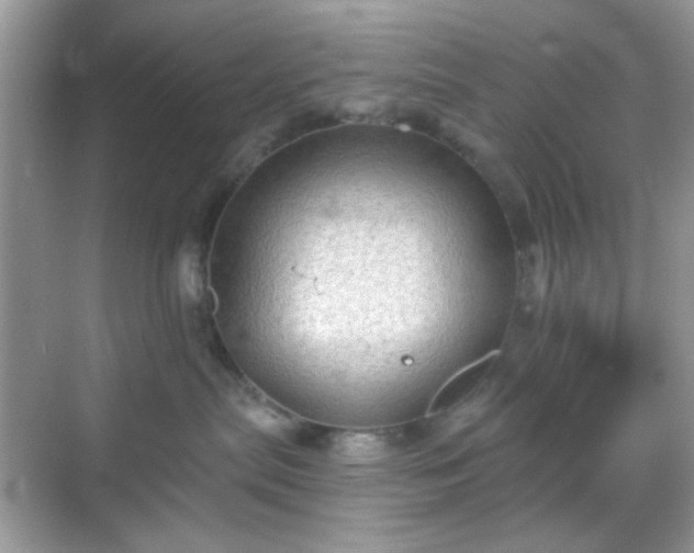 X0000068720287200605051441