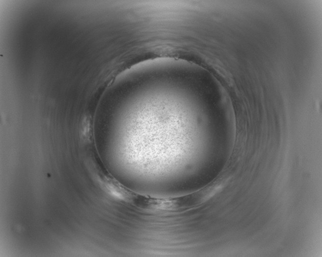 X0000068720288200605051441