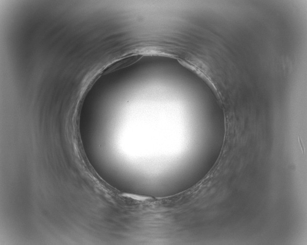 X0000068720289200605051440