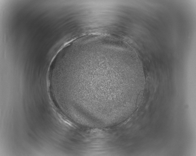 X0000068720290200605051440