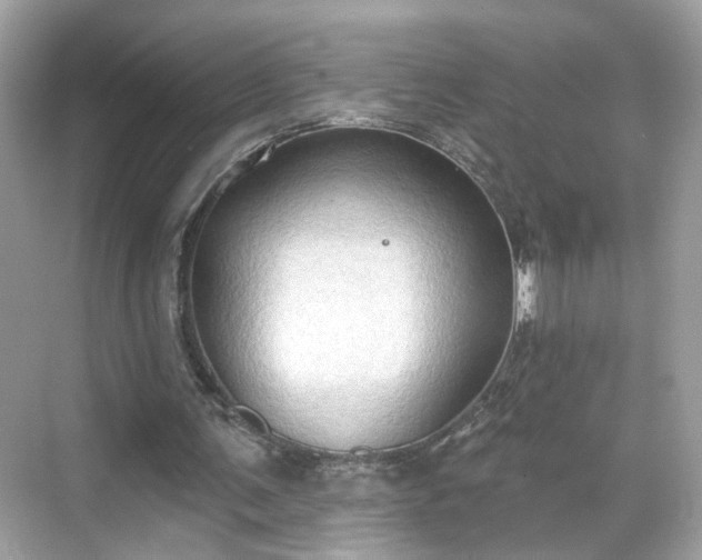 X0000068720291200605051440