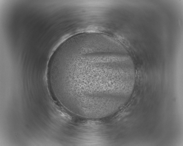 X0000068720292200605051440