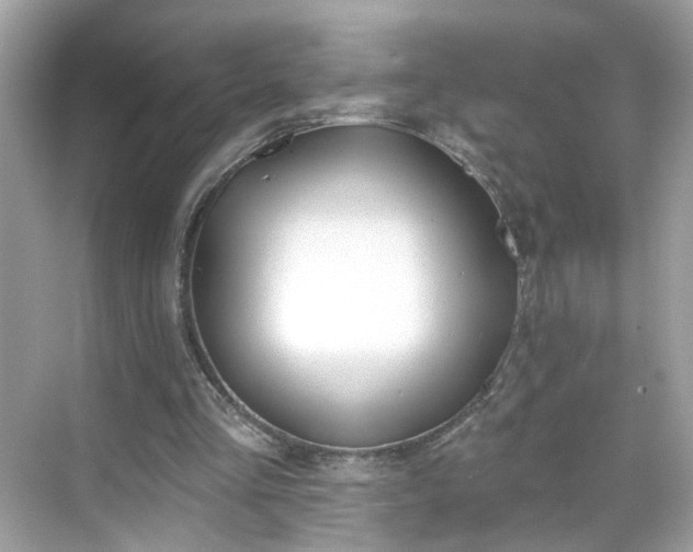 X0000068720293200605051440