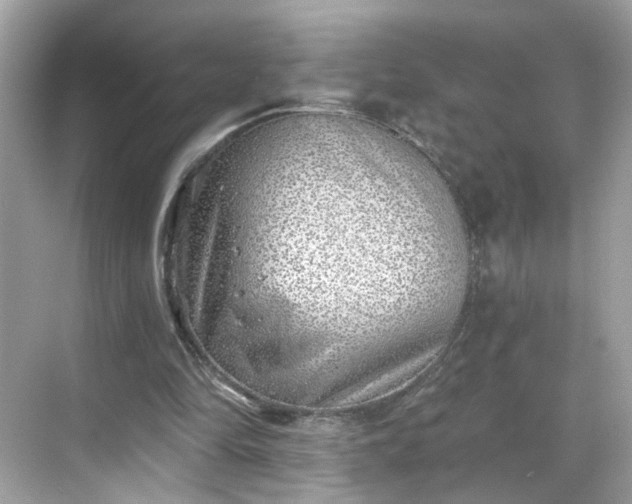 X0000068720294200605051440