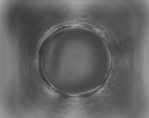 X0000068720295200605051440