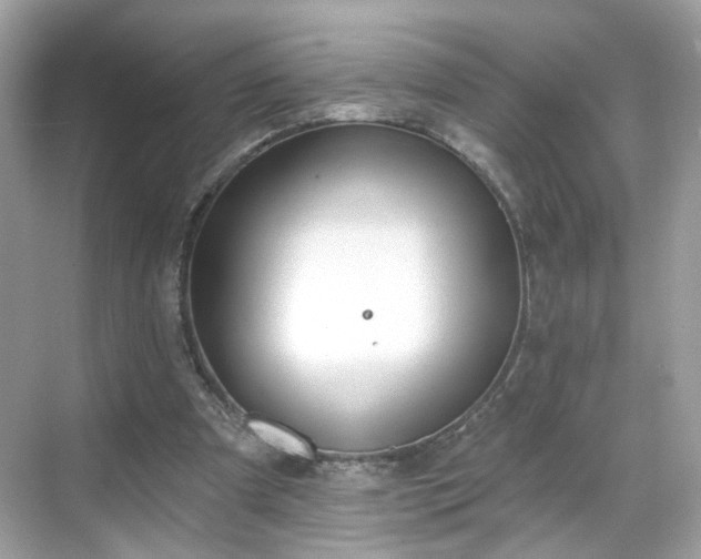 X0000068720297200605051440