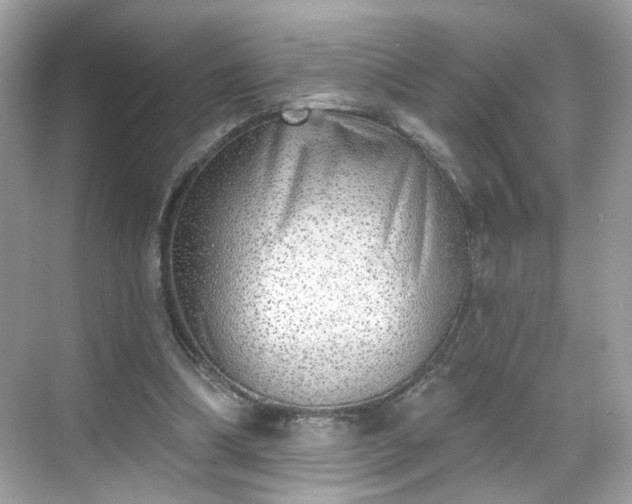 X0000068720298200605051440