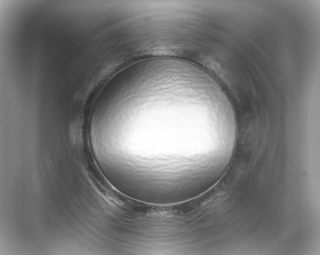 X0000068720299200605051440