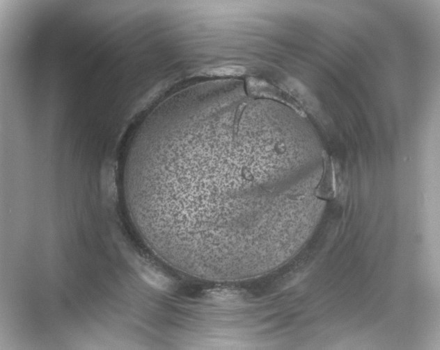 X0000068720300200605051440