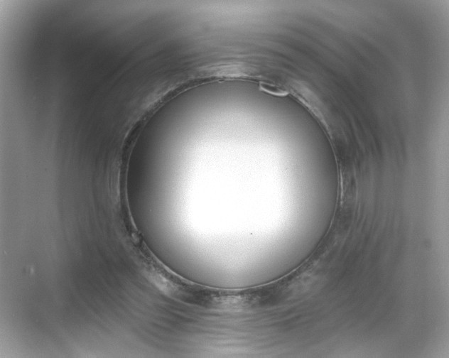 X0000068720301200605051440