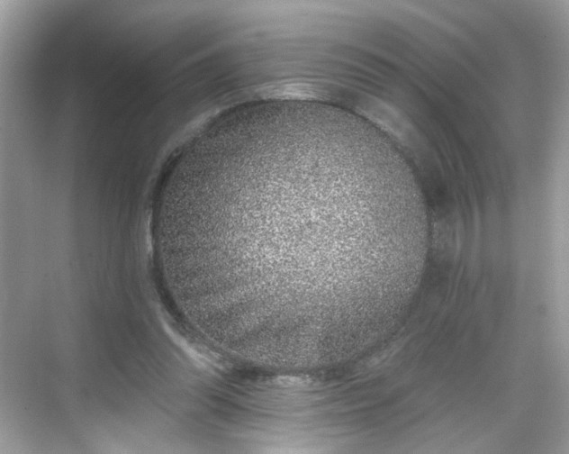 X0000068720302200605051440