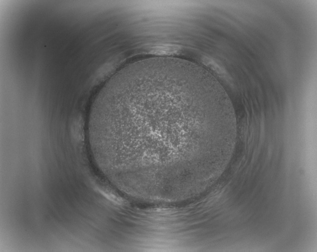 X0000068720303200605051440