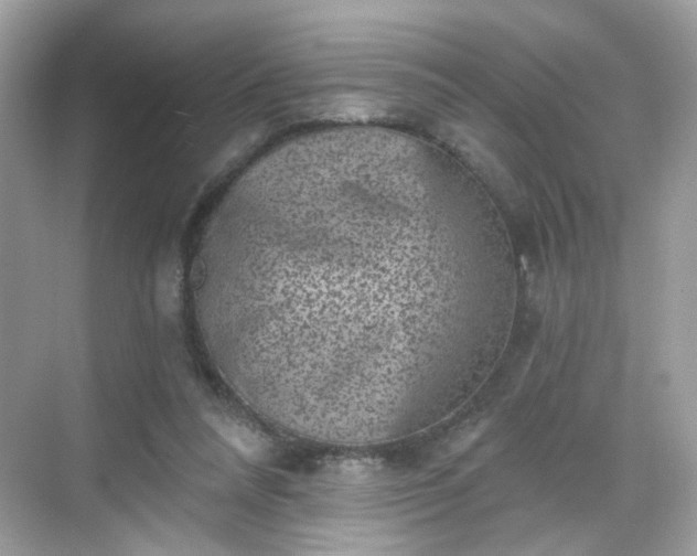 X0000068720304200605051440