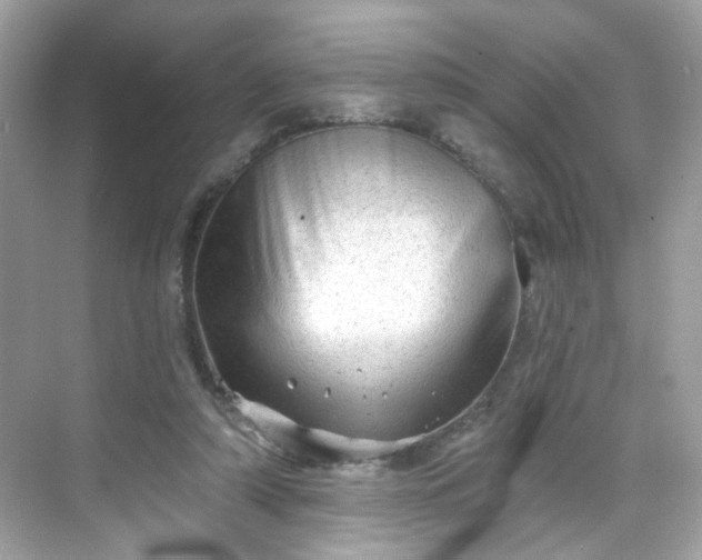 X0000068720306200605051440