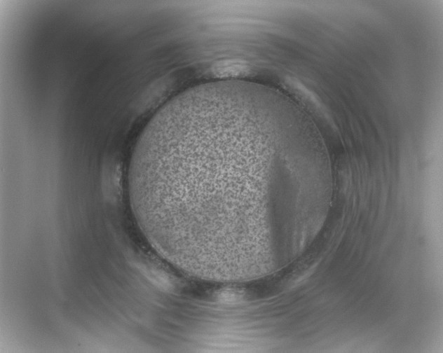 X0000068720308200605051440