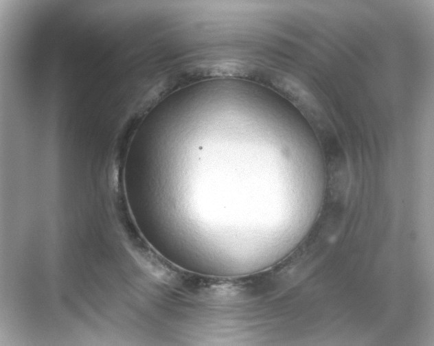 X0000068720310200605051440