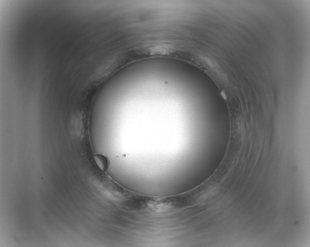 X0000068720311200605051440