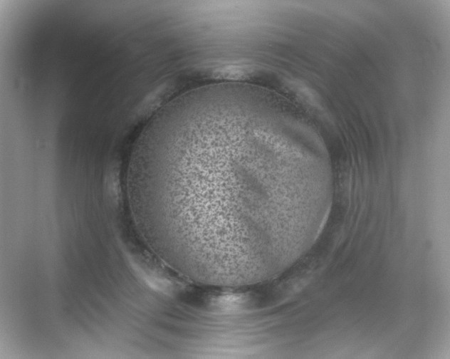 X0000068720312200605051440